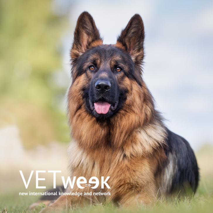 Design uden navn (26)